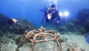 DKP Gorontalo Puji Peran Serta Masyarakat dalam Aksi Transplantasi Terumbu Karang untuk Mitigasi Perubahan Iklim