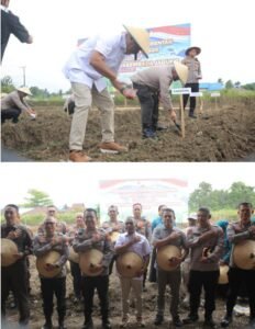 Tanam Jagung Serentak 2026, Pemda Halmahera Tengah Perkuat Ketahanan Pangan