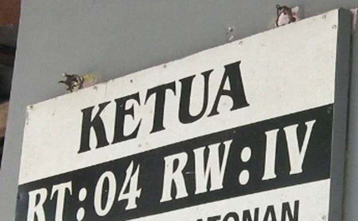 Pengakuan Pelaksana RW Buka Dugaan Penyimpangan Jabatan Publik